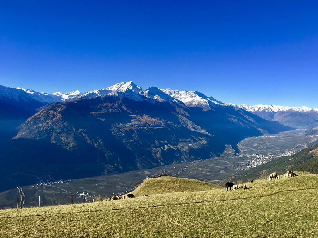 Klostergut Castelbello Kültér fotó